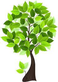 Illustration of a vibrant green leafy tree with a brown trunk.